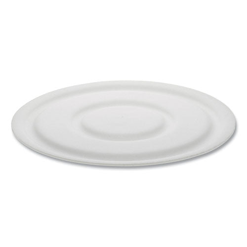 Image of Pactiv Evergreen Cake Circle, 9" Diameter x 1" h, White, Foam, 125/Pack, 4 Packs/Carton
