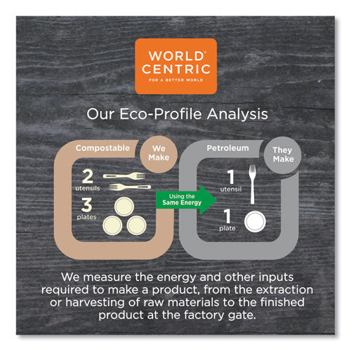 Image of World Centric® Fiber Trays, PLA Lined, PFAS Free, 8.2 x 5.7 x 0.7, Natural, Paper, 500/Carton