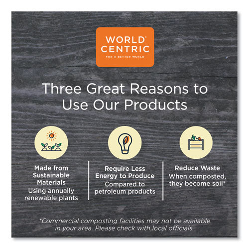 Image of World Centric® PLA Rectangular Deli Containers, 12 oz, 4.8 x 5.9 x 2.1, Clear, Plastic, 900/Carton