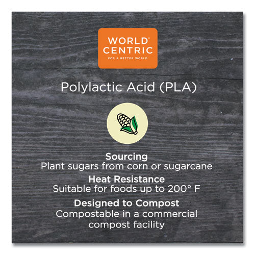Image of World Centric® PLA Rectangular Deli Container Lids, 4.8 x 5.9 x 0.3, Clear, Plastic, 900/Carton