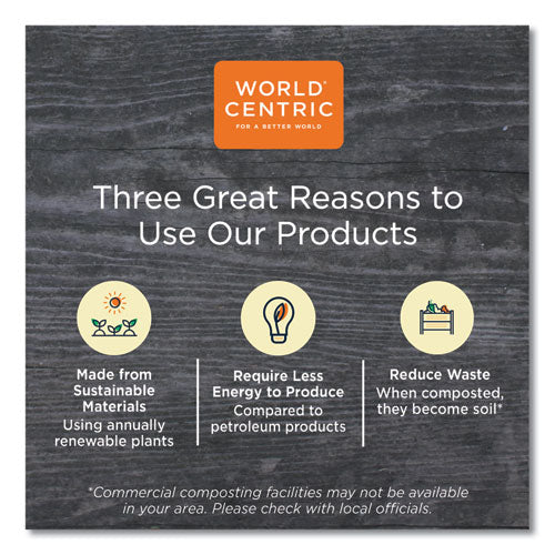 Image of World Centric® PLA Rectangular Deli Container Lids, 4.8 x 5.9 x 0.3, Clear, Plastic, 900/Carton