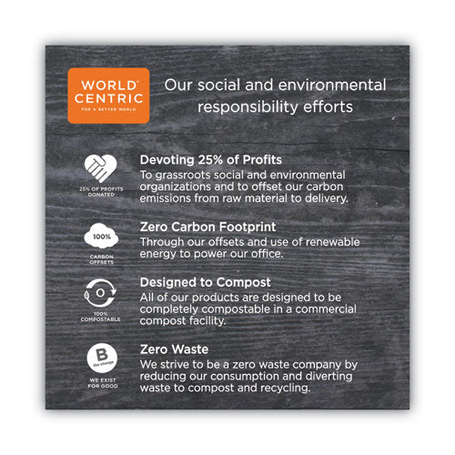 Image of World Centric® TPLA Compostable Cutlery, Spoon, Plastic, White, 750/Carton