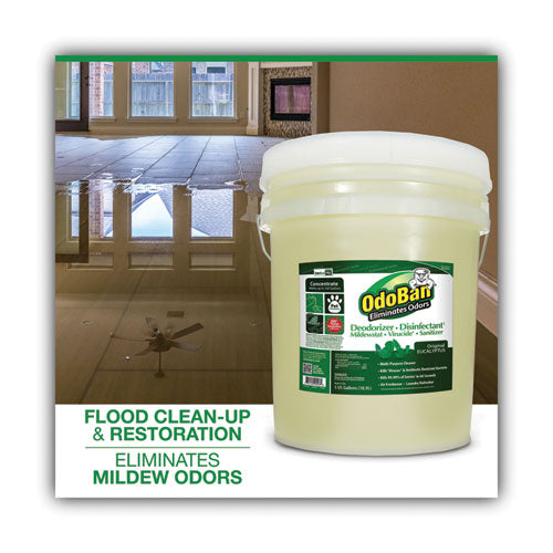 Image of OdoBan® Concentrated Odor Eliminator And Disinfectant, Eucalyptus, 5 Gal Pail