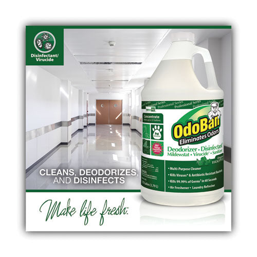 Image of OdoBan® Concentrated Odor Eliminator And Disinfectant, Eucalyptus, 1 Gal Bottle