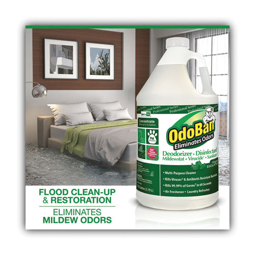 Image of OdoBan® Concentrated Odor Eliminator, Eucalyptus, 1 Gal Bottle, 4/carton