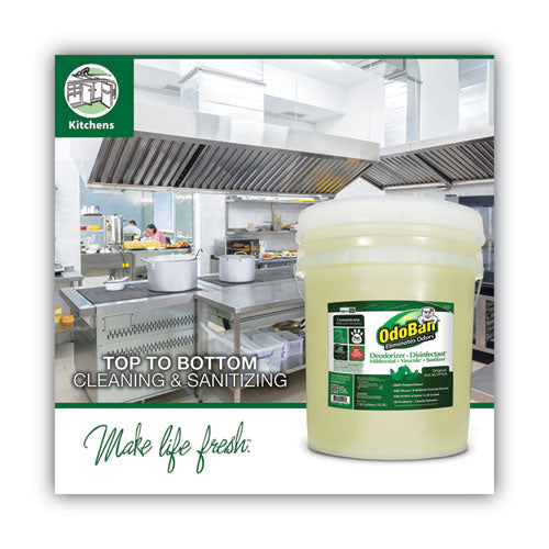 Image of OdoBan® Concentrated Odor Eliminator And Disinfectant, Eucalyptus, 5 Gal Pail