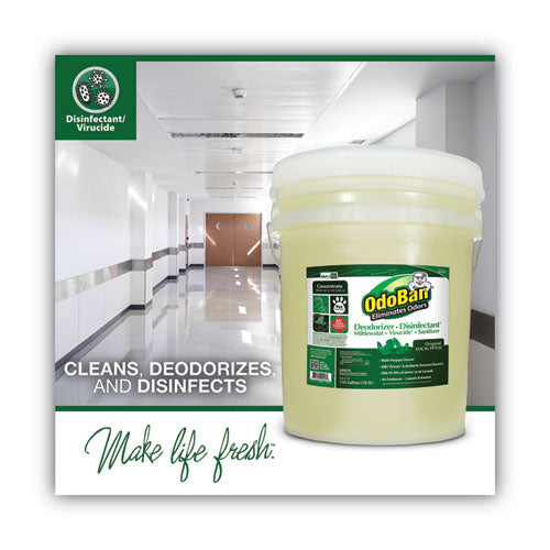 Image of OdoBan® Concentrated Odor Eliminator And Disinfectant, Eucalyptus, 5 Gal Pail