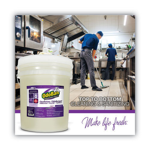 Image of OdoBan® Concentrated Odor Eliminator And Disinfectant, Lavender Scent, 5 Gal Pail