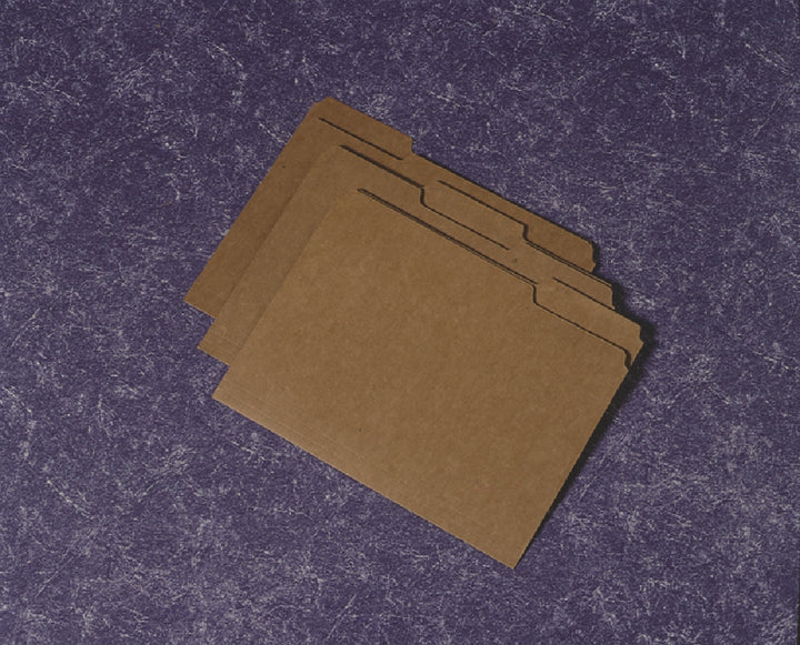 Image of File Folder, Medium, 1/3 Cut, Letter
