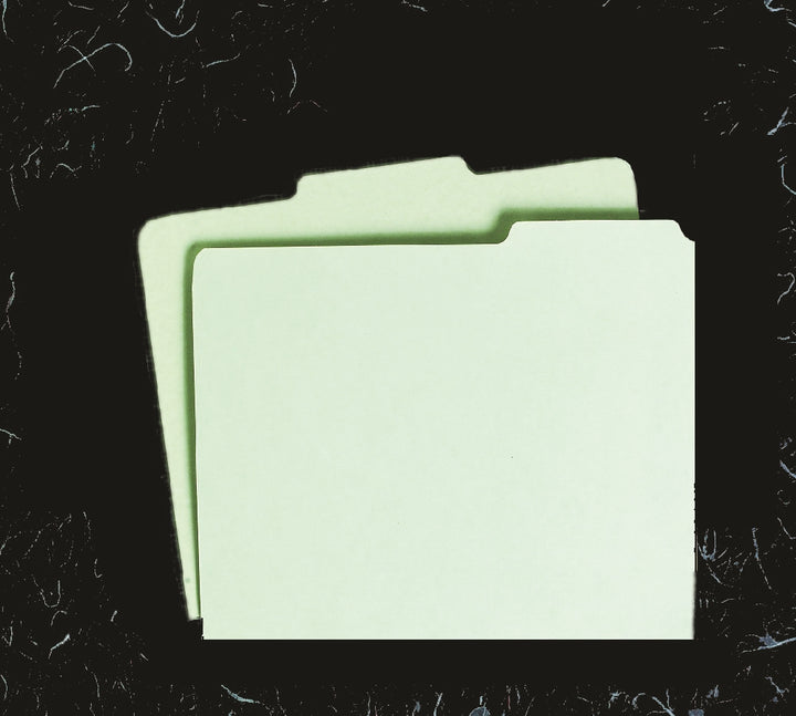 Image of File Guide Card, 1/3 Cut, 1st or 3rd Position, Letter