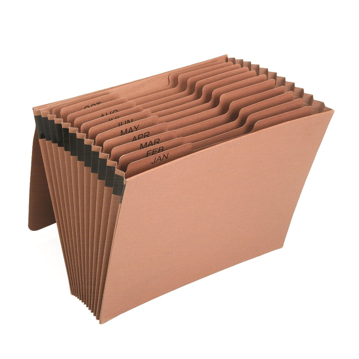 Image of Expanding File Folder, Flap & Elastic Band Closure, Letter