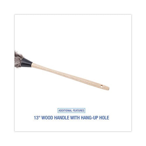 Image of Boardwalk® Professional Ostrich Feather Duster, 13" Wood Handle