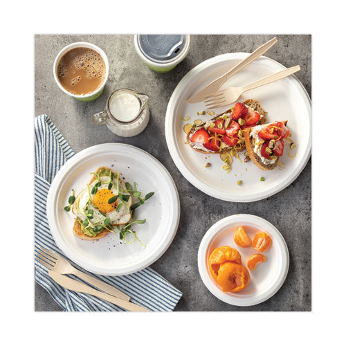 Image of Pactiv Evergreen EarthChoice Compostable Fiber-Blend Bagasse Dinnerware, Plate, Sugarcane, 6" dia, Natural, 1,000/Carton