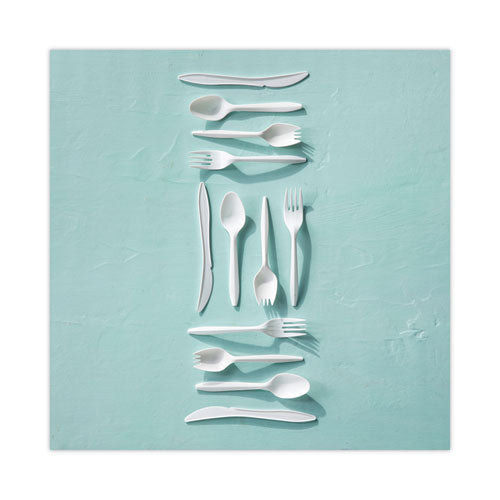 Image of Pactiv Evergreen Fieldware Cutlery, Mediumweight Spoon, Plastic, White, 1,000/Carton