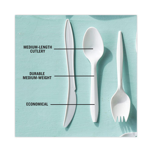 Image of Pactiv Evergreen Fieldware Cutlery, Mediumweight Spoon, Plastic, White, 1,000/Carton
