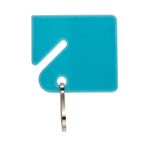 Image of CONTROLTEK® Key Tags, Blue/Green/Red/Yellow, 20/Pack, 3 Packs/Carton