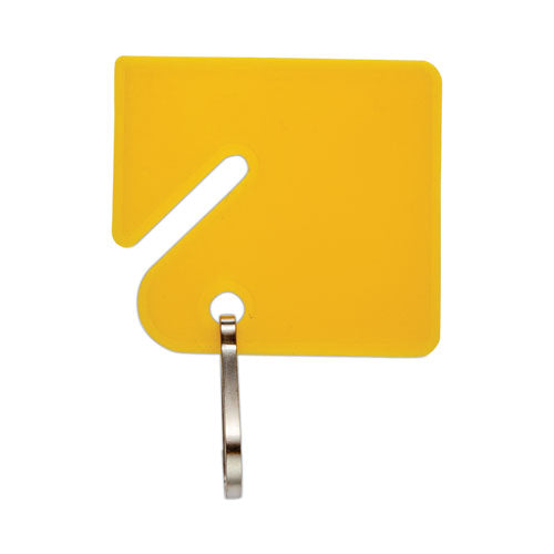 Image of CONTROLTEK® Key Tags, Blue/Green/Red/Yellow, 20/Pack, 3 Packs/Carton