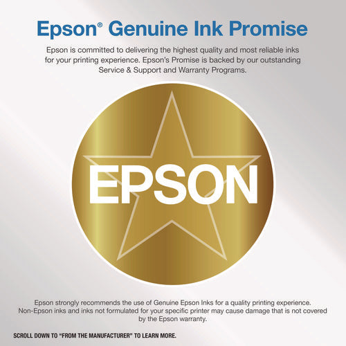 Image of Epson® T606700 (60) Ink, Light Black