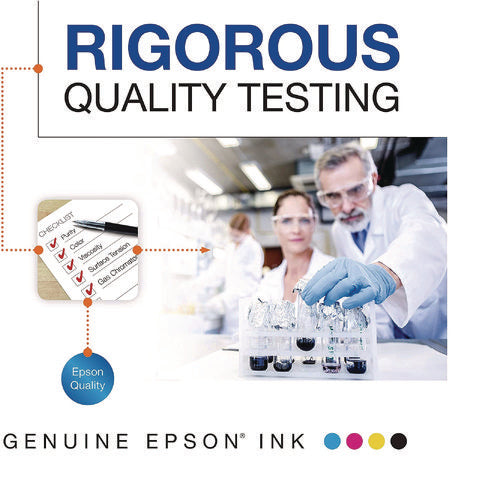 Image of Epson® T606700 (60) Ink, Light Black