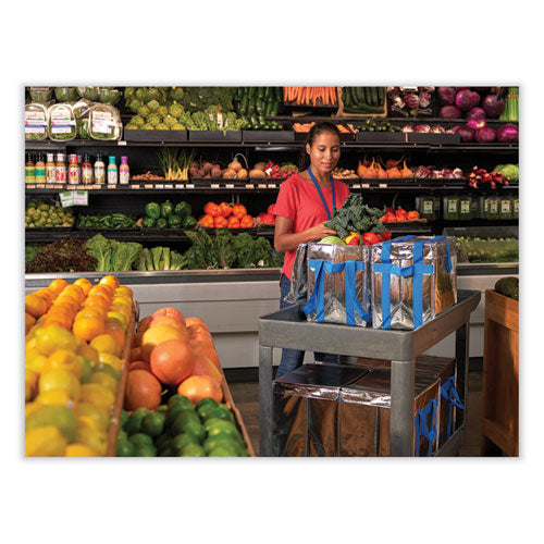 Image of PackIt® Fresh Eco Freeze Tote, (2) Blue Nylon Shoulder Straps, (2) Blue Nylon Strap Handles, 13.5" x 9" x 13", Silver/Blue, 4/Carton
