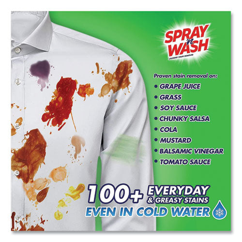 Image of SPRAY 'n WASH® Stain Remover, 22 Oz Spray Bottle