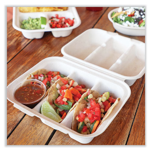 Image of World Centric® Fiber Hinged Containers, 8.8 x 8.2 x 2.9, Natural, Paper, 300/Carton