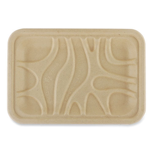 Image of World Centric® Fiber Trays, 5.7 x 8.2 x 0.6, Natural, Paper, 500/Carton