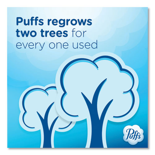 Image of Puffs® Ultra Soft Facial Tissue, 2-Ply, White, 124 Sheets/Box, 6 Boxes/Pack, 4 Packs/Carton