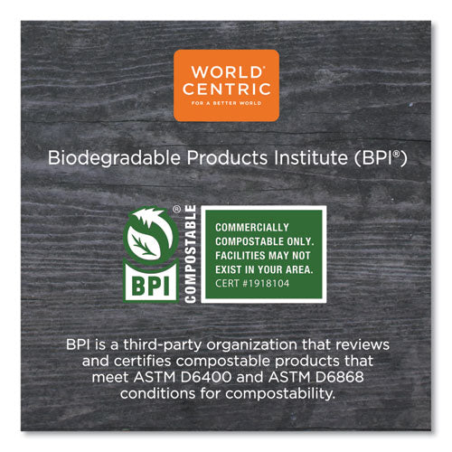 Image of World Centric® TPLA Compostable Cutlery, Asian Soup Spoon, Plastic, White, 500/Carton