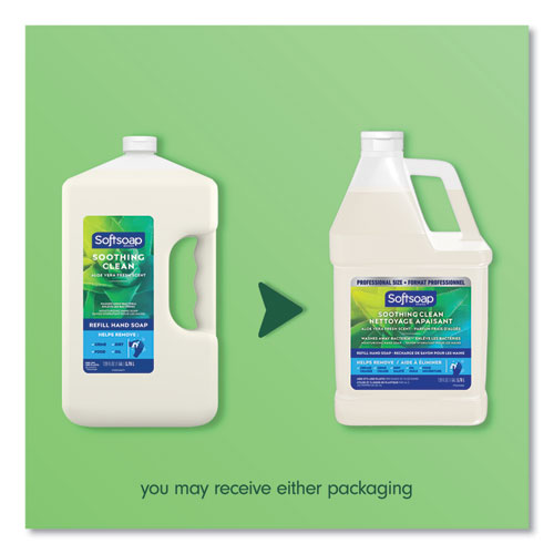 Image of Softsoap® Liquid Hand Soap Refill with Aloe, Aloe Vera Fresh Scent, 1 gal, 4/Carton