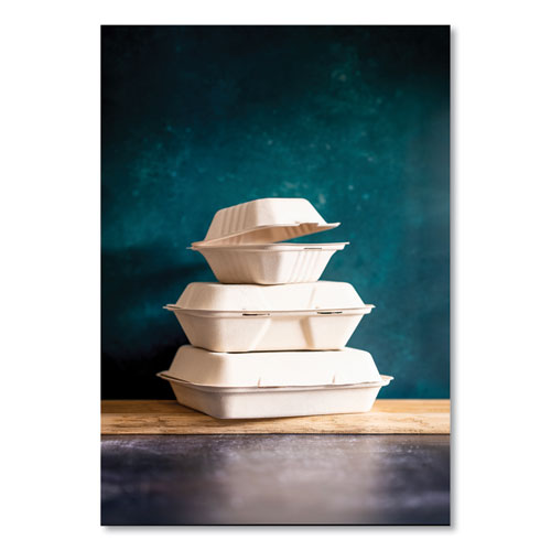Image of Vegware Nourish Molded Fiber Takeout Containers, Compostable, 3 Compartments, 5 x 9 x 2, White, Sugarcane, 200/Carton