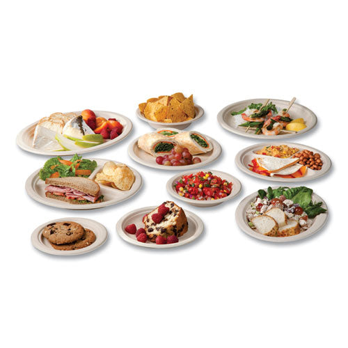 Image of Vegware Nourish Molded Fiber Tableware, Compostable, Platter, Sugarcane, 8 x 10, White, 500/Carton