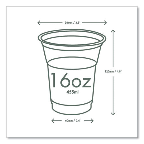 Image of Vegware 96-Series Cold Cup, 16 oz, Plastic, Clear/Green, 1,000/Carton