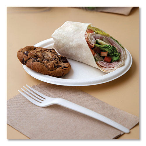 Image of Eco-Products® Vanguard Renewable And Compostable Sugarcane Plates, 10" Dia, White, 500/carton