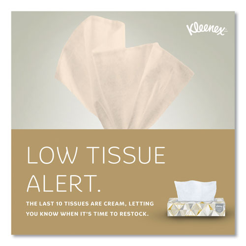 Image of Kleenex® White Facial Tissue for Business, 2-Ply, 125 Sheets/Box, 12 Boxes/Carton