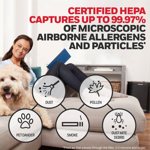 Image of Honeywell Filter G True HEPA Air Purifier Filter, 1.5 x 10
