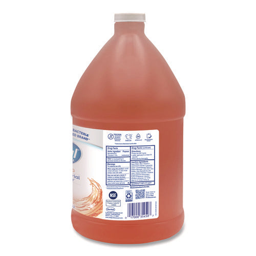Image of Dial® Professional Antibacterial Foaming Hand Wash Refill, Plus Aloe, Original Scent, 1 gal, 4/Carton